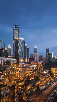 高考生物最全知識點匯總 一輪復習首選指南（重慶適用）